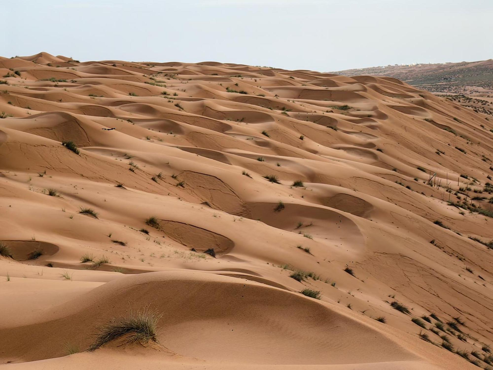 Desert Rose Camp Badīyah 외부 사진